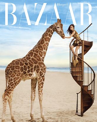 <em>Harper's Bazaar</em>.