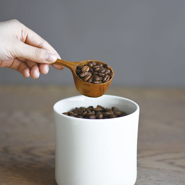 Kinto SCS Coffee Measuring Spoon