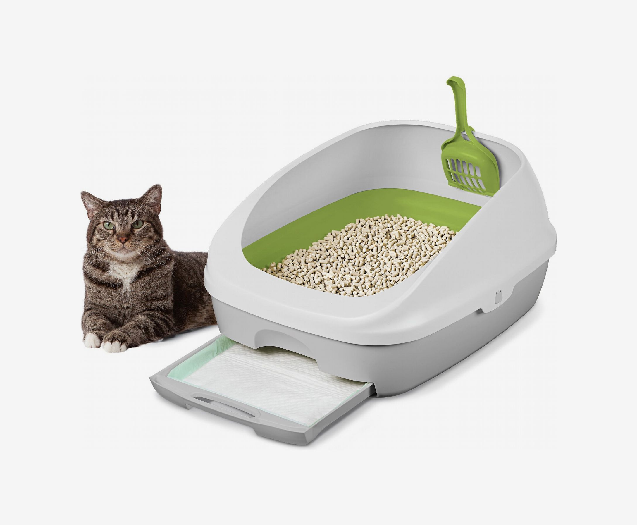The 11 Best Cat Litter Mats To Keep Things Tidy