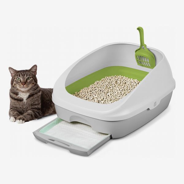 Best cat litter for odor control 2019 best sale