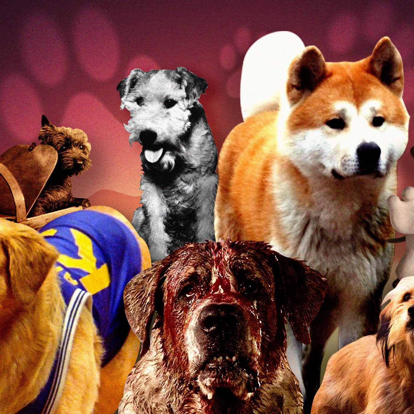 The 25 Best Dogs in Movies pic
