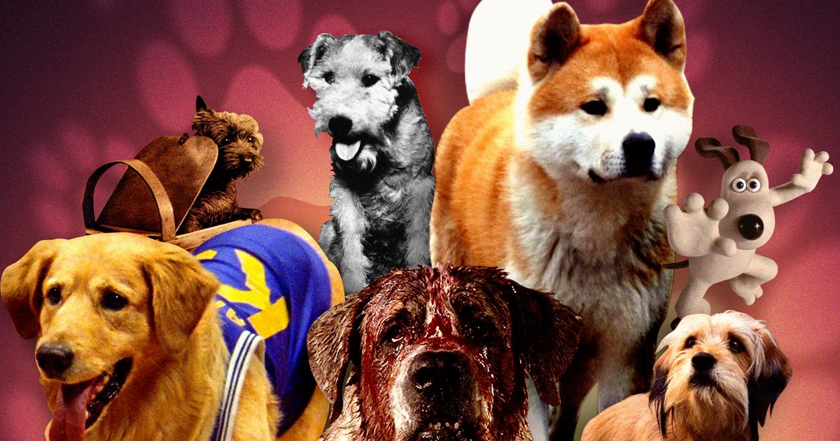 Famous dogs in store movies and tv