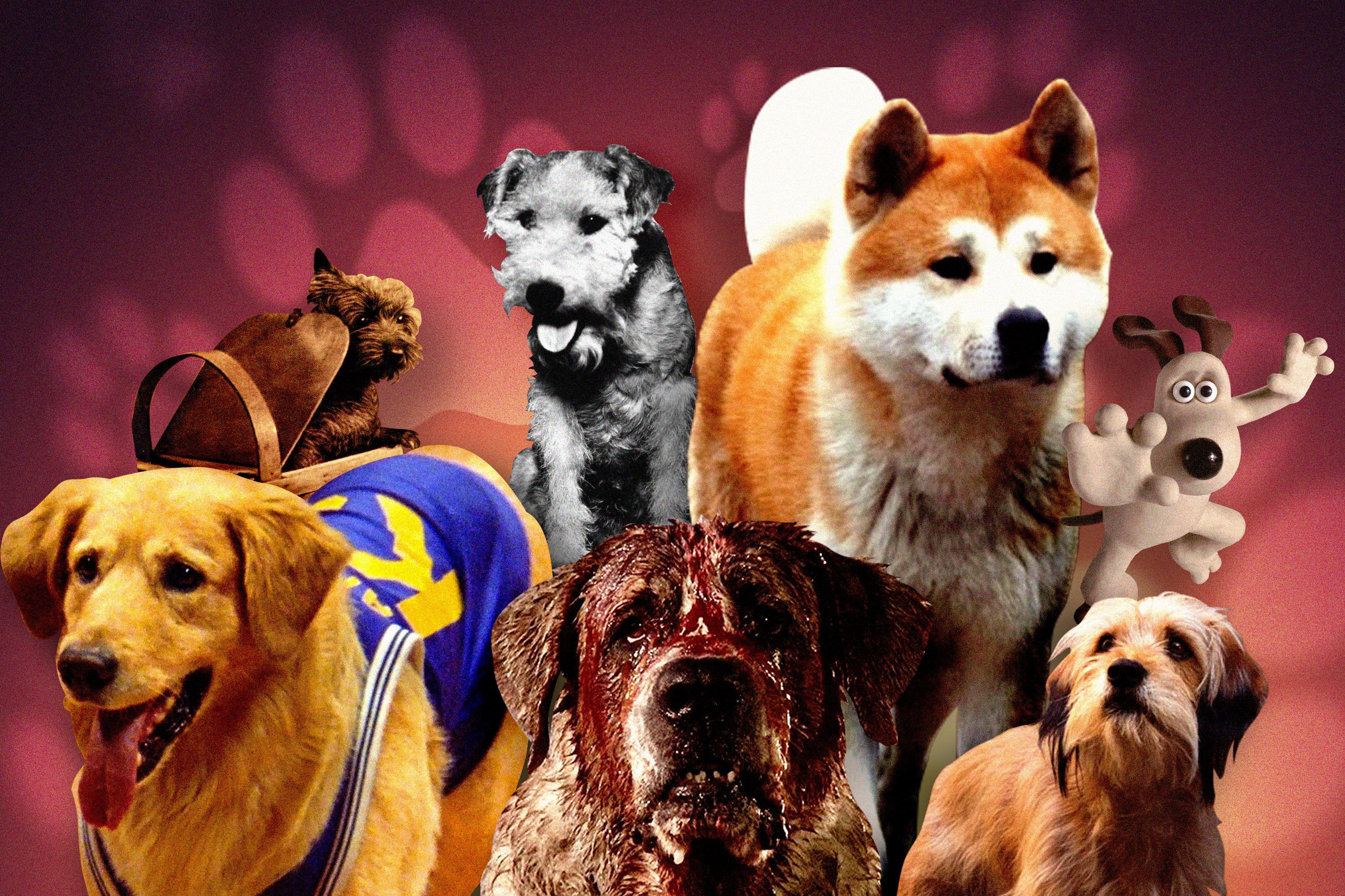 The 25 Best Dogs in Movies pic pic