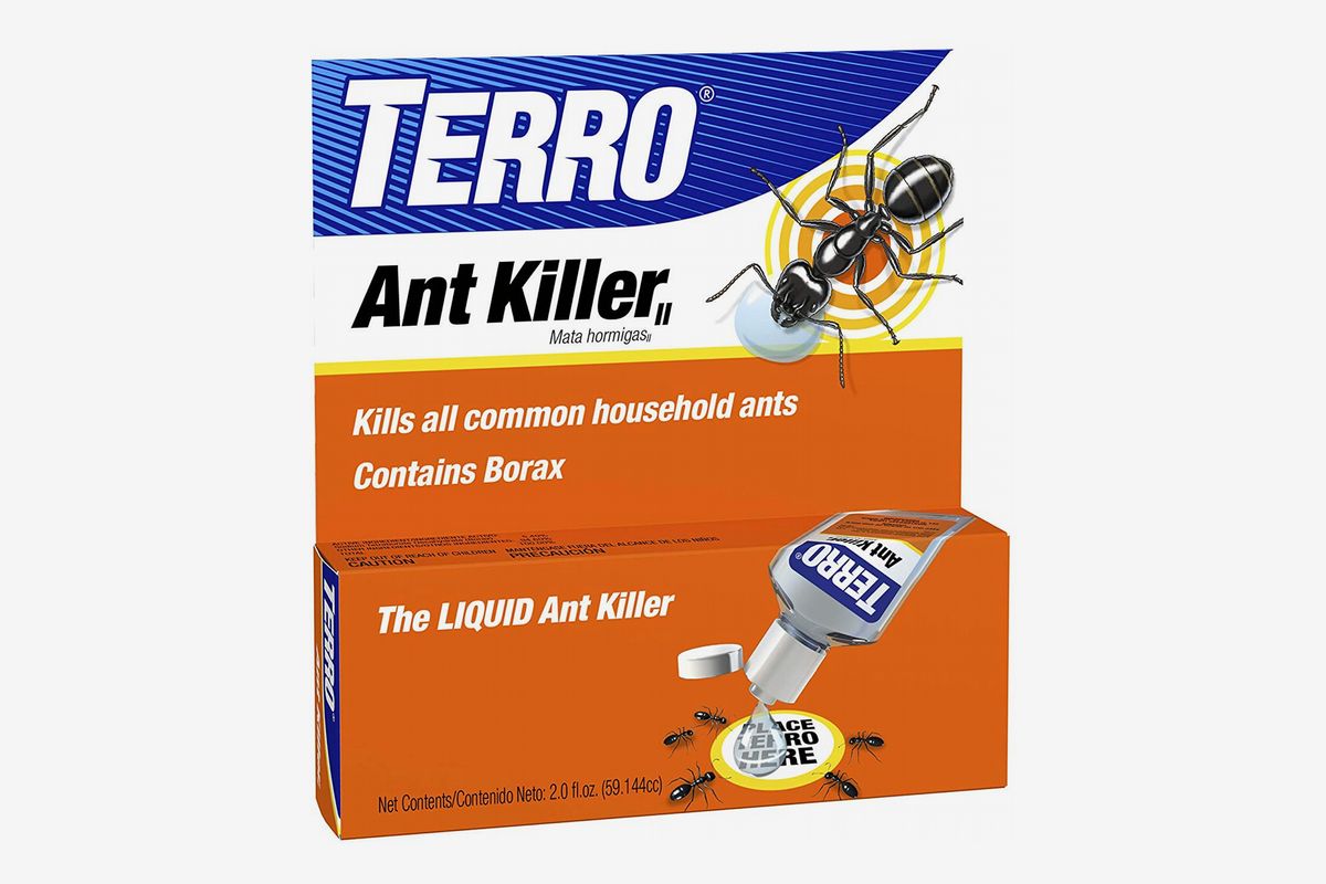 best ant poisons