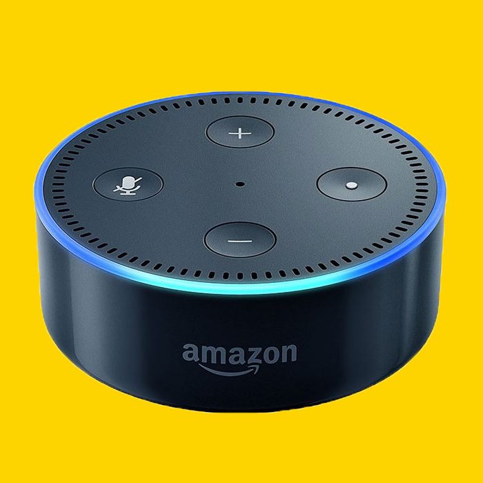 can echo dot work by itself
