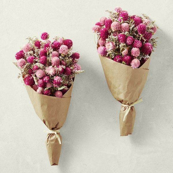 Williams Sonoma Pink Strawflower Bouquet, Set of 2