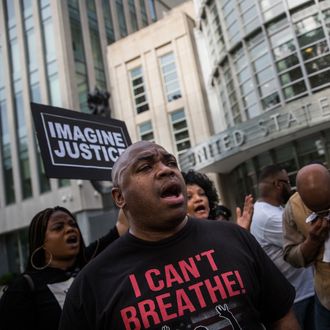 The Chokehold Issue, Eric Garner Case