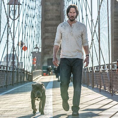 John wick watch discount hbo