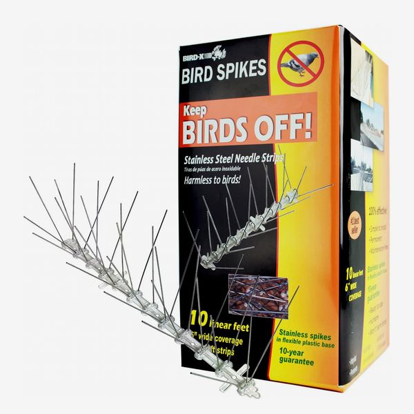 Bird-X STS-10-R Stainless Steel Bird Spikes