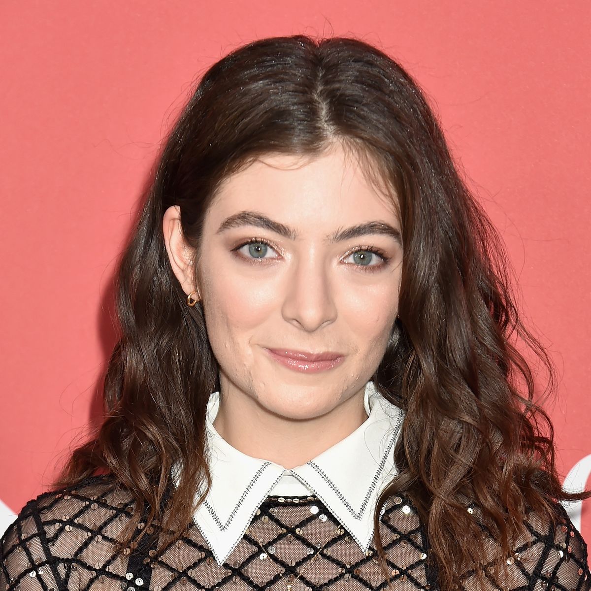 Lorde Updates Fans On New Music In Email