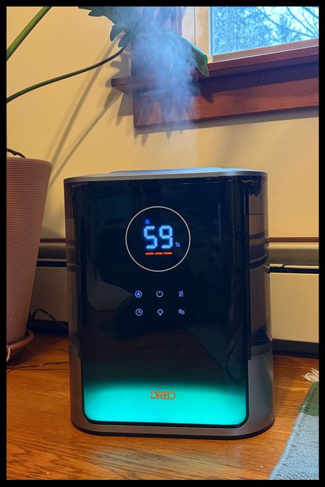 8 Best Humidifiers | The Strategist