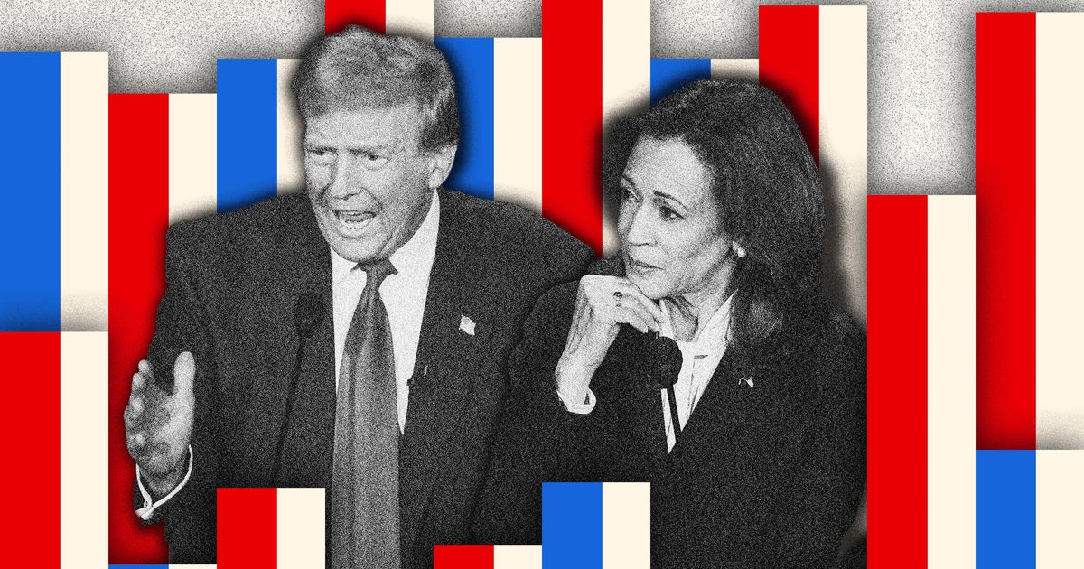 Polls Show Kamala Harris Leading Donald Trump