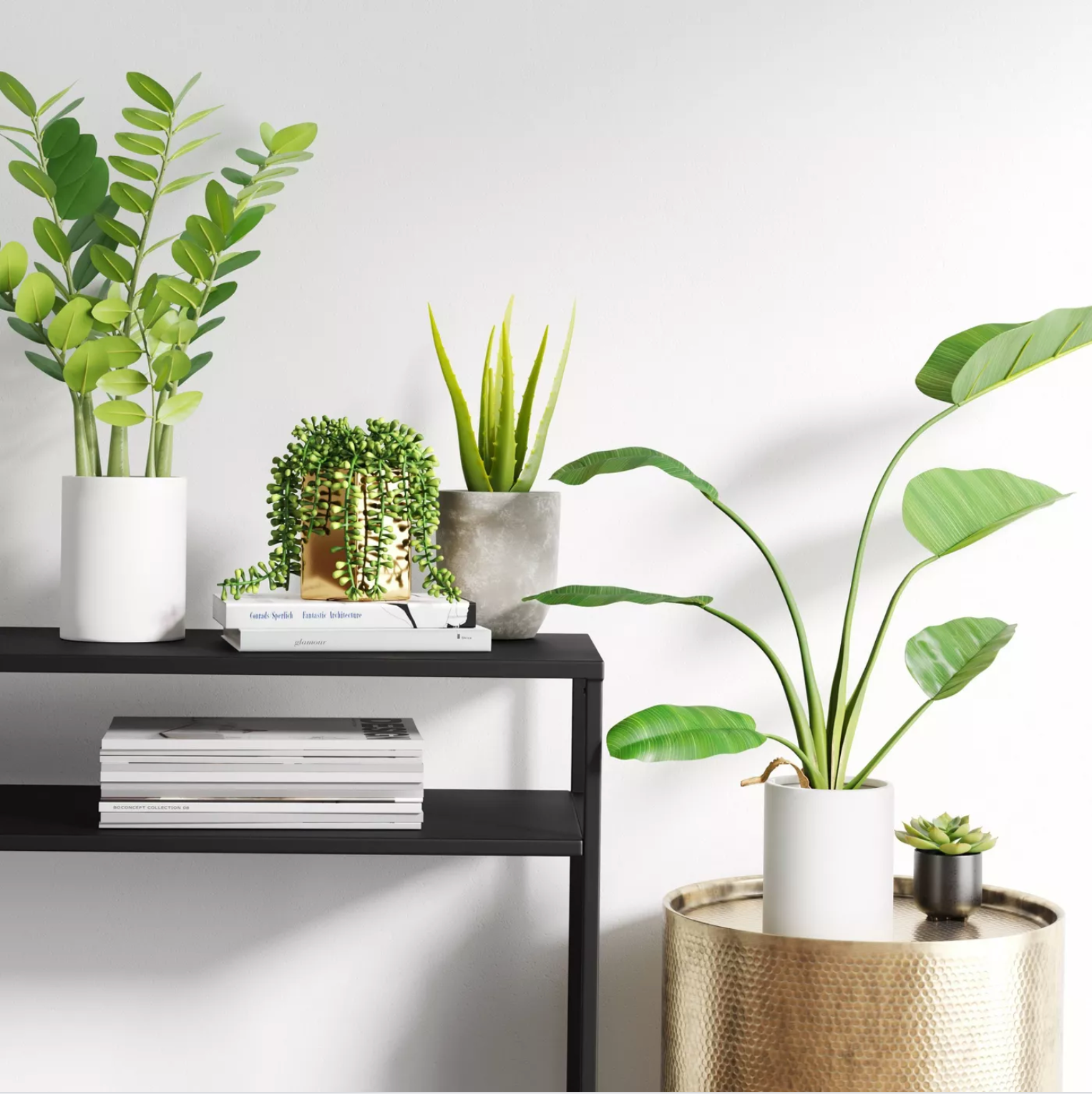Plantas que pueden crecer más de 5 pies en interiores