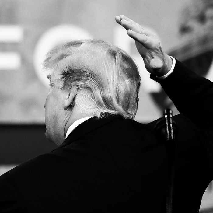 Trump Admits He ‘tries Like Hell To Hide His Bald Spot