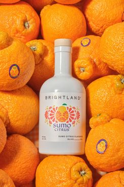 Brightland Sumo Citrus Flavored Olive Oil
