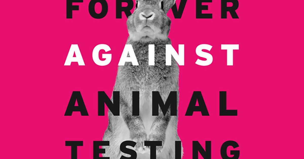 California Passes Bill That Bans All Animal Testing by 2020