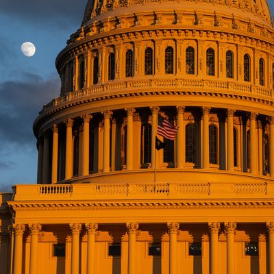 Speaker Johnson Holds Capitol Tree Lighting Ceremony