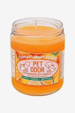 Pet Odor Exterminator Orange Lemon Splash Deodorizing Candle