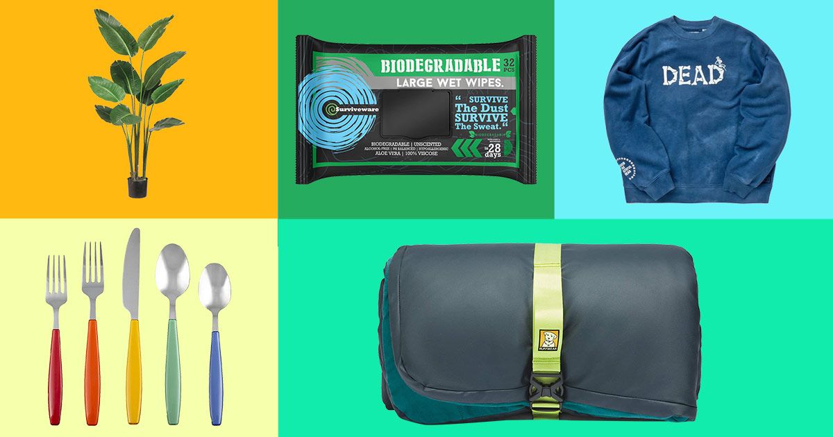 10 things that delighted us last week: from pet beds to paddle games