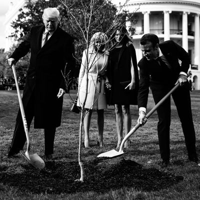 Donald Trump and Emmanuel Macron planting a tree.