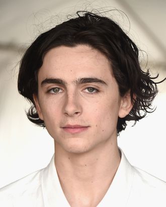 timothee chalamet hair