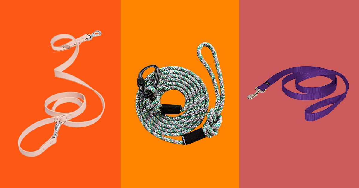 5 best leather dog leashes for 2023, approved by vets
