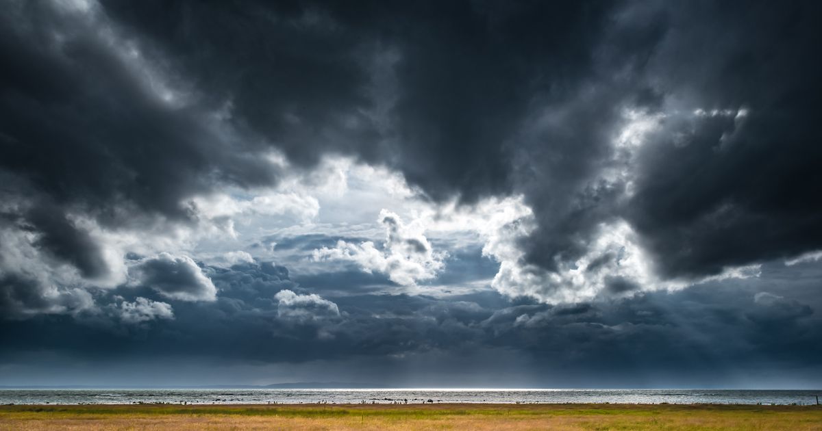 Become More Resilient by Learning to Take Joy Seriously -- Science of Us