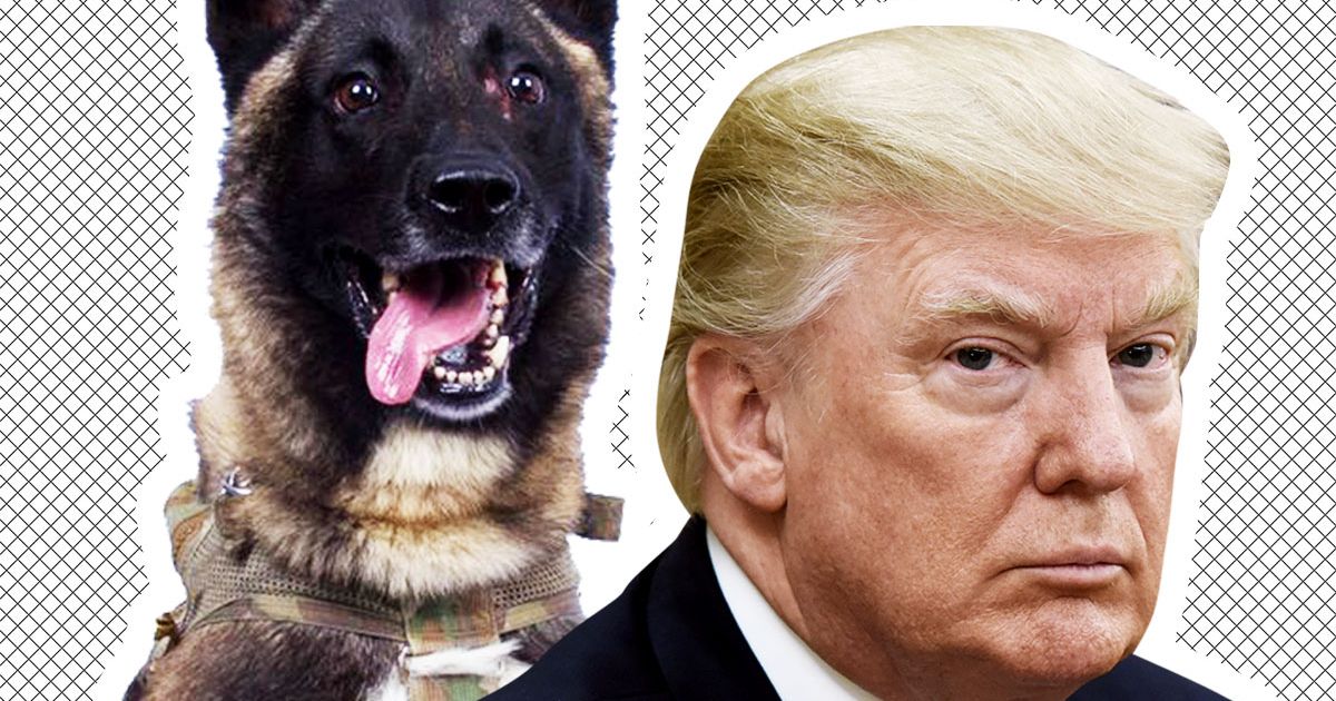 Trump Is Obsessed With Conan the Hero Dog