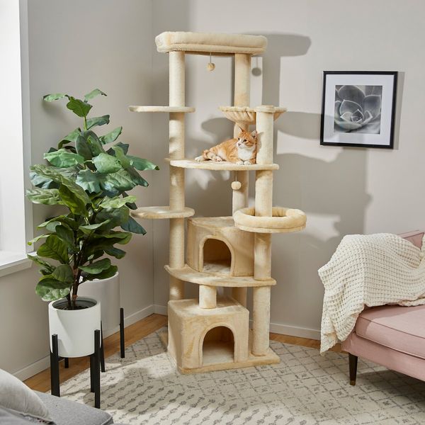 Cheap cat trees near me best sale