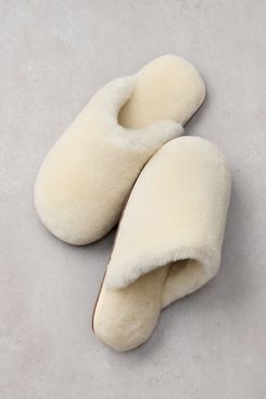 Overland Women’s Eva Sheepskin Scuff Slippers