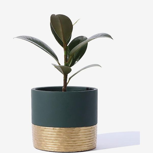 POTEY Cement Planter with Drainage Hole