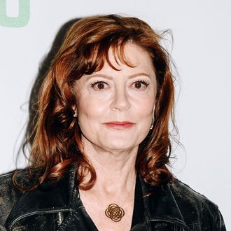 Susan Sarandon Addresses Pro-Palestine Rally Comments