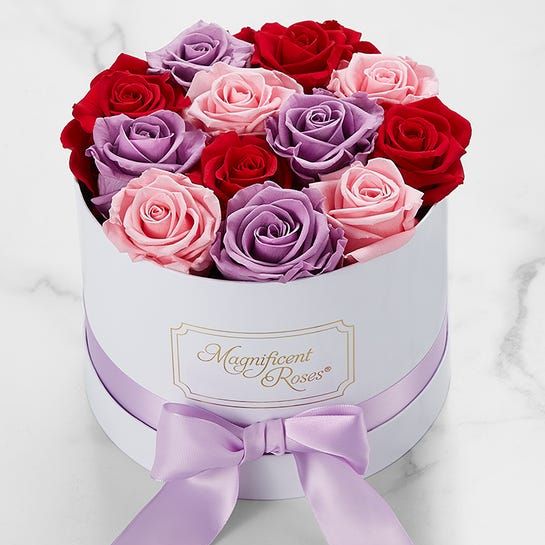 Magnificent Roses Preserved Romantic Medley