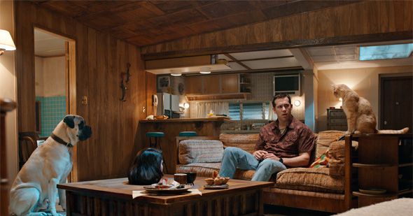 聖丹斯：您不會相信瑞安·雷諾茲（Ryan Reynolds）的瘋狂貓電影