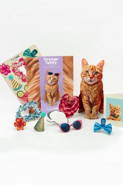 Freshcut Paper Orange Tabby Cat Pop-Up Card