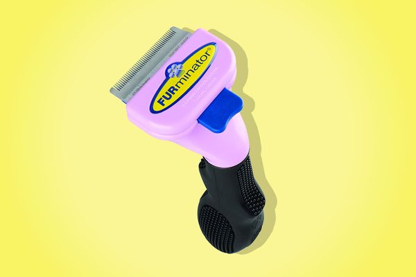 Best Brush for Cats Dogs Furminator