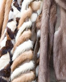 Fur is flying in West Hollywood.