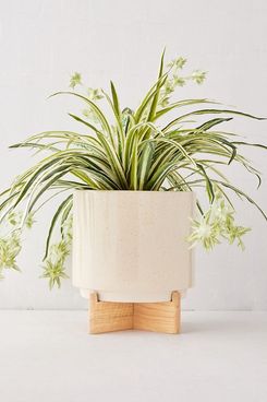 Urban Outfitters Cecily Planter + Stand