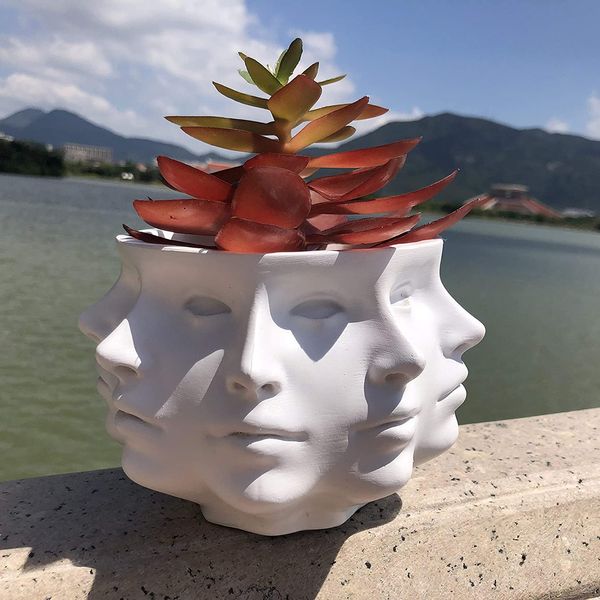 Multi-Face Succulent Planter