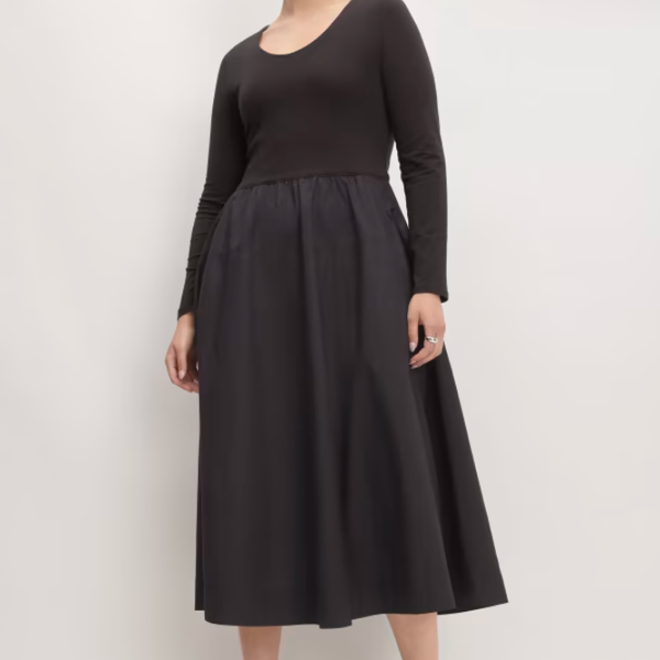 Everlane The Long-Sleeve Riviera Dress