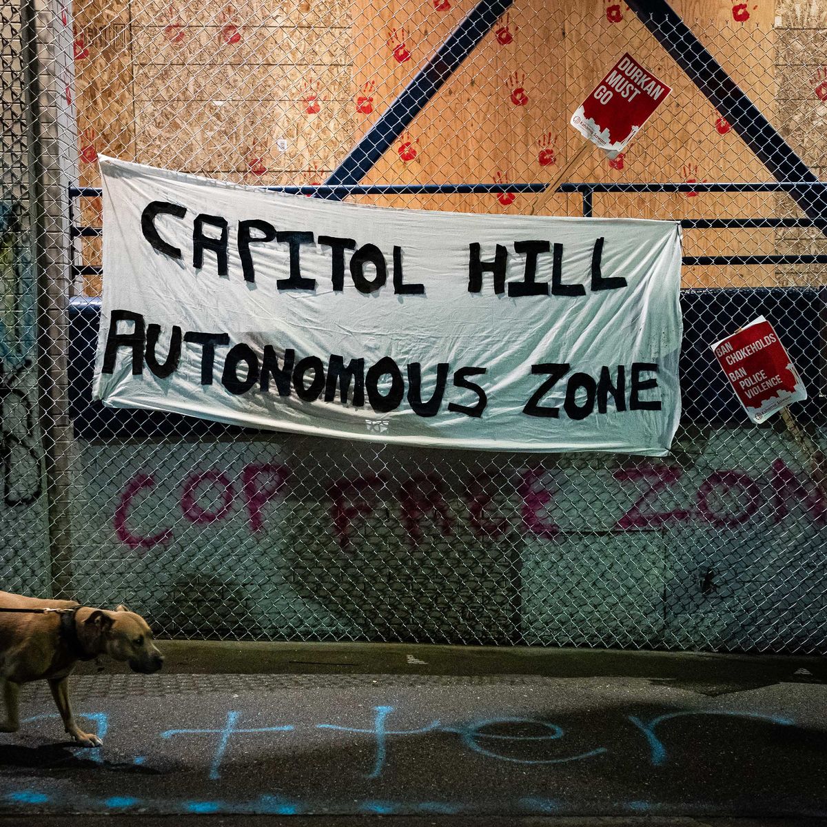 What's Going on in CHAZ, the Seattle Autonomous Zone?