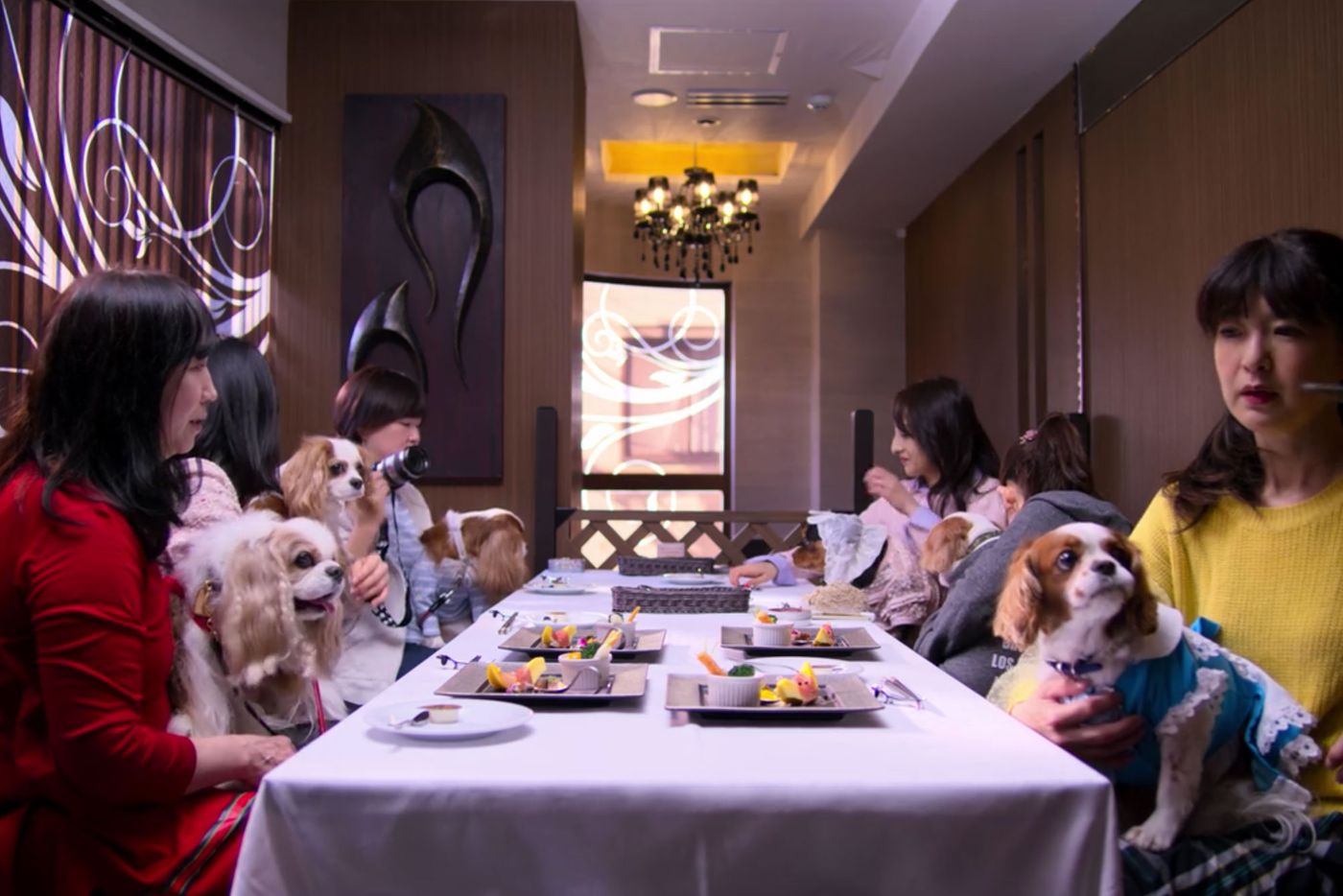 dogs season 1 netflix