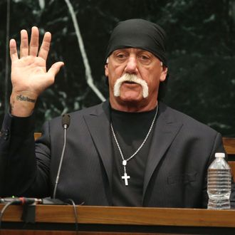 Terry Bollea, aka Hulk Hogan, Testifies In Gawker Media Lawsuit