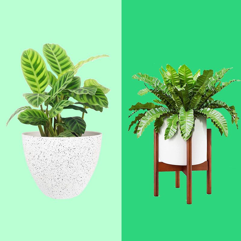 Set of 2 Decorative White Metal Flower Pots Succulent Planters with Modern Green Palm Leaf Pattern and Brass Tone Interior 