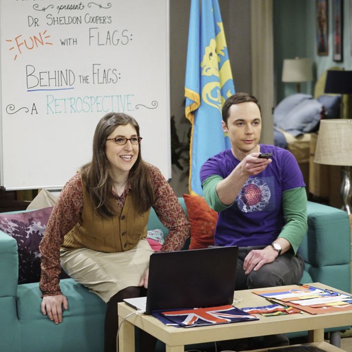 The Big Bang Theory&#39; Recap: The Separation Agitation