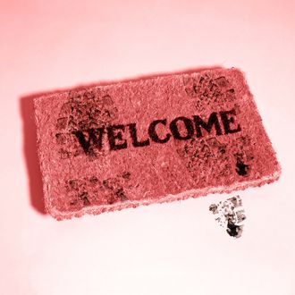 Welcome written on doormat, against pale blue background --- Image by ? 2/Steven Taylor/Ocean/Corbis