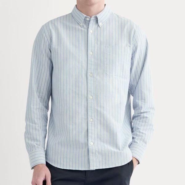Everlane The Slim Oxford Shirt
