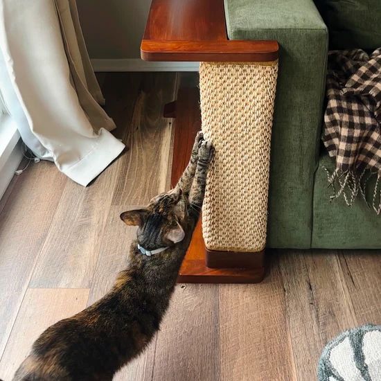 Hilde & Phil Cat-e-Corner