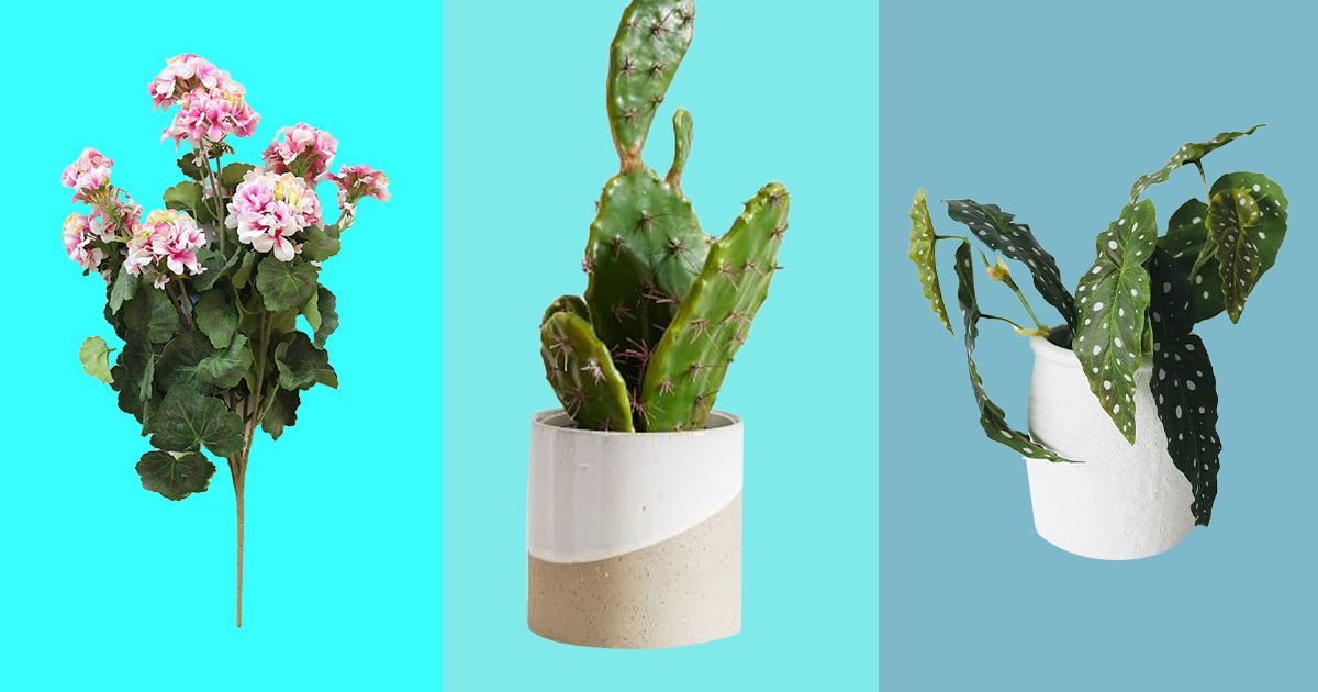 50 Best Artificial Plants 2023 The Strategist