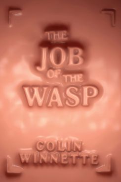 The Job of the Wasp, by Colin Winnette